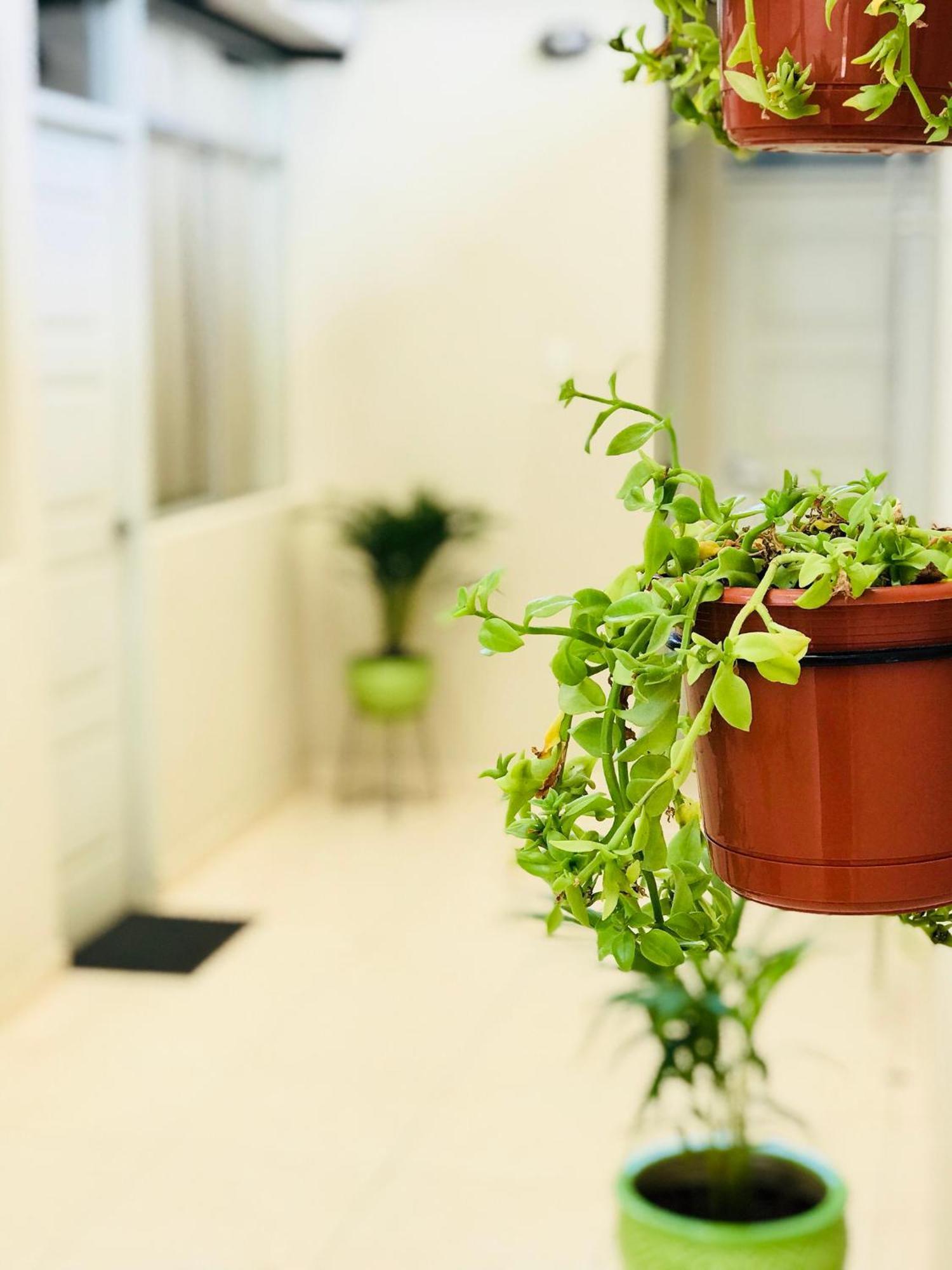 Appartement Garden House Piura Extérieur photo